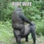 Ride Wife, Life Good