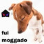 EX-BETINHA MOGADO