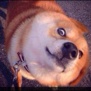 大鸟转转转酒吧