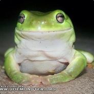 ^9AiFaM ^7God^1Speed^9.