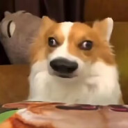 头好痒要长脑子了