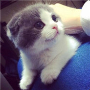 我能杀憨憨队友吗？