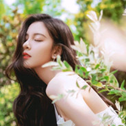 五排四坑三分掉俩下一局