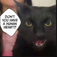 Cat Naoya Zenin
