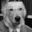 Dogoevsky