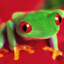 ZiXbOOO