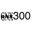 gnx300|阿纳托尔非常有才