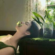 晴栀_