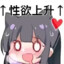 蕾丝内裤套头