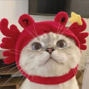 学会吧别真挂了