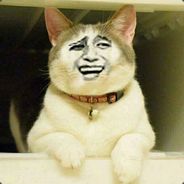 尼古拉斯 装逼李