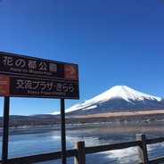 伊布拉西莫域治