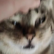 delass