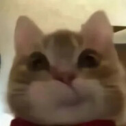 minosati - steam id 76561199550582981