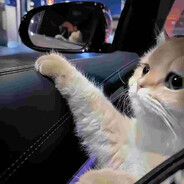 别抓我 抓我队友