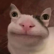 大英警察大英盗