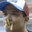 Raleigh Ritchie