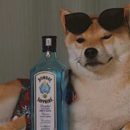 网恋被骗8个大电