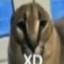 xd