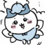 我是可可爱爱的hachiware