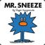 mr. sneeze