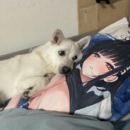 2735