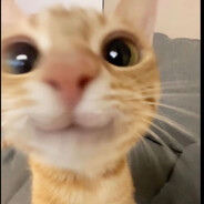 Macica<333 skins.army