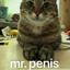 mr.penis