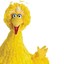 Big Bird