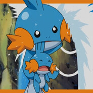 Mudkip Vision