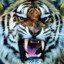 TIGUR EBACH