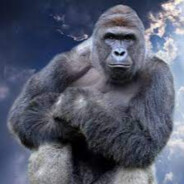 Lord Harambe