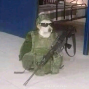 Peepanimus