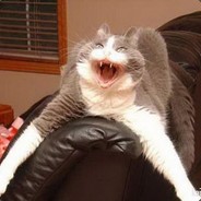 ВОТ ЭТО ПОВОРОТ