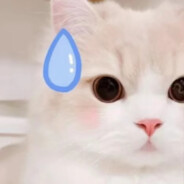 建材市场赵姐姐