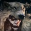 OXOTHuK_38RUS