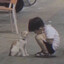小白画画画