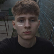 Lil Gogaie pe gheata