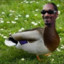 snoop duck