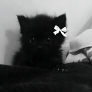 Мамут Рахал