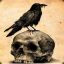 Skull Raven
