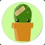 cocktus