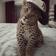 meow