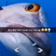 СИЛЙОДКА