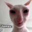 James.