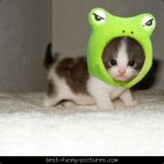 LOLLERGEDDON - steam id 76561197964412379