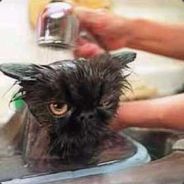 Beadhanger - steam id 76561197963176611