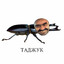 ТадЖук