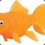GoldFish