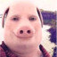 Pigman